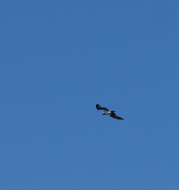 f0214649_5134859.jpg