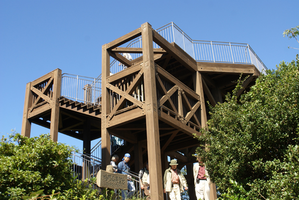 f0214649_5153885.jpg