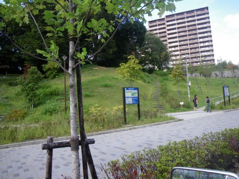 f0046250_23583210.jpg