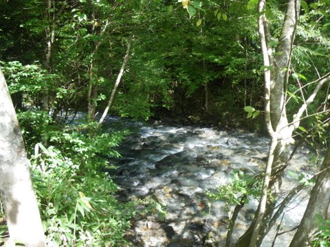 f0046250_7122125.jpg