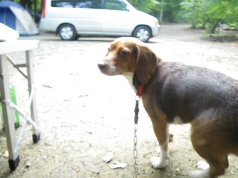 f0046250_7211982.jpg