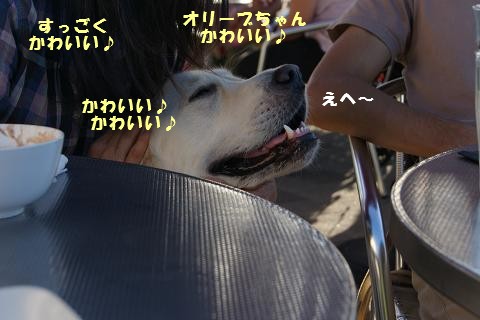 c0214455_1814412.jpg