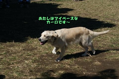 c0214455_1865211.jpg