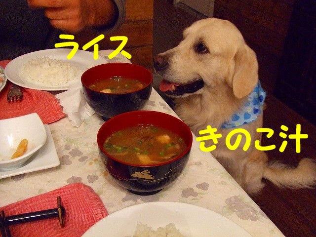a0104162_19265219.jpg