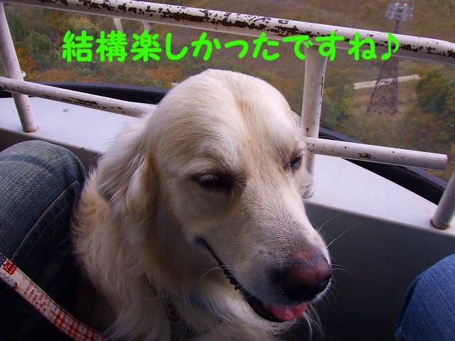 a0104162_23121459.jpg