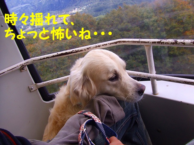 a0104162_2312283.jpg