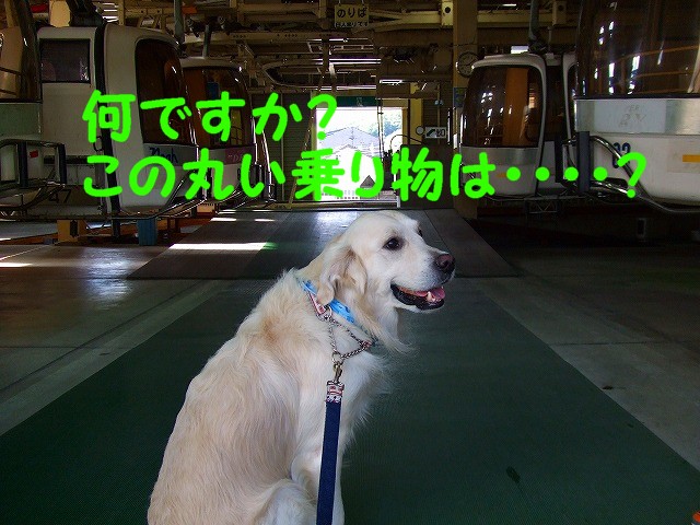 a0104162_2372091.jpg