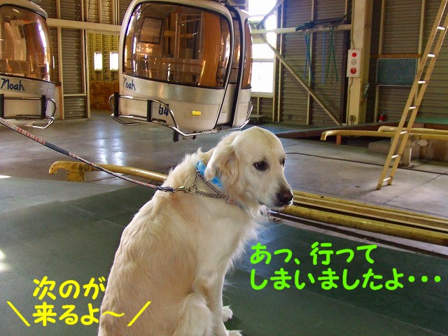 a0104162_2374714.jpg