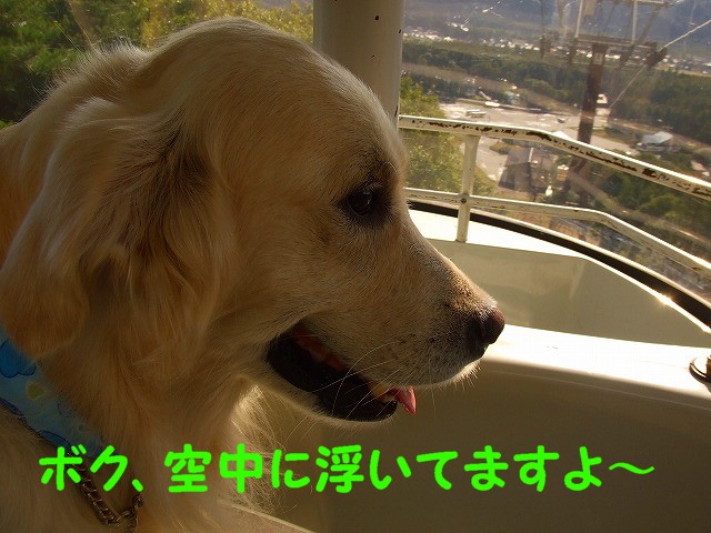 a0104162_2381316.jpg
