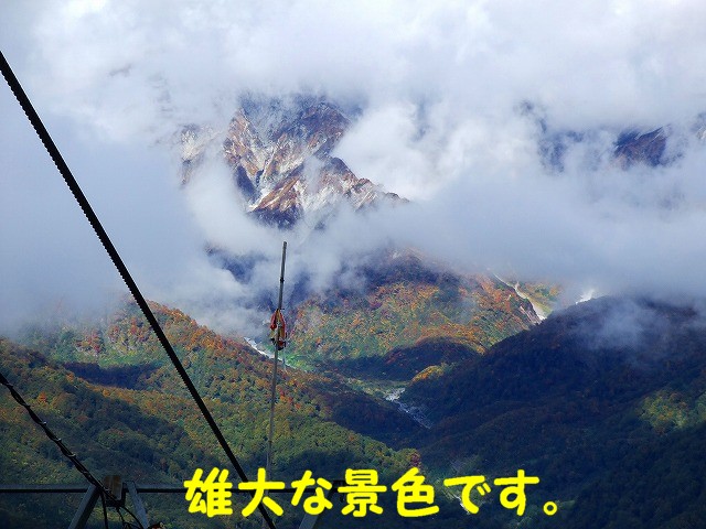 a0104162_2395780.jpg
