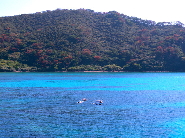 b0062363_1933635.jpg