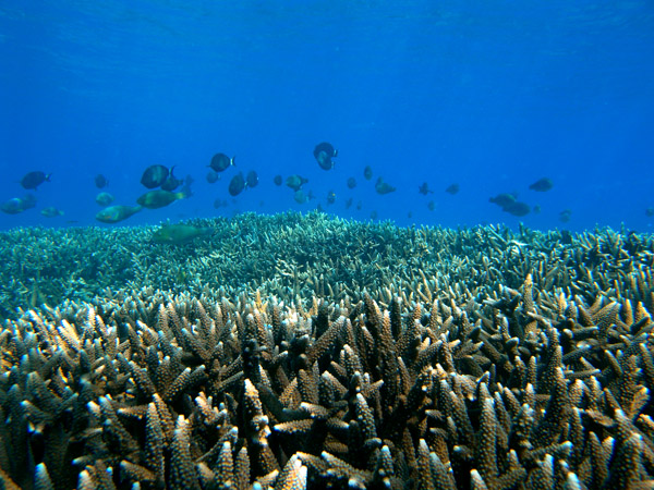 b0062363_1941878.jpg