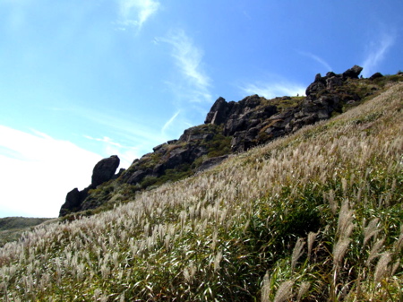 d0105063_19463667.jpg