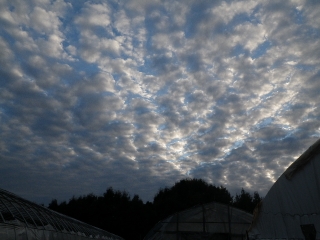 f0055264_2253060.jpg