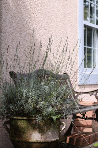 f0107364_1754758.gif