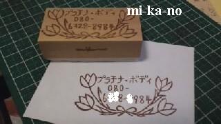 b0091866_17271040.jpg