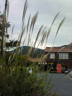 f0180166_22552357.jpg