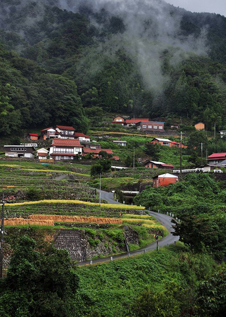 b0131167_12174188.jpg