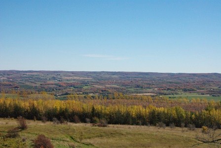 a0100975_16205514.jpg