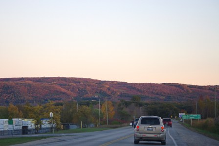 a0100975_16392580.jpg