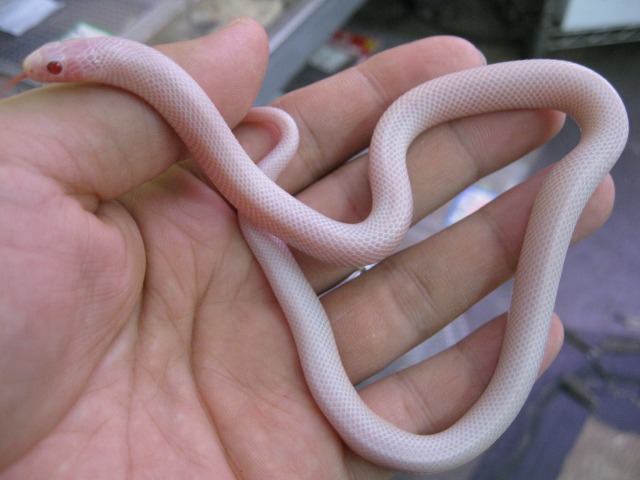 e0099576_18565687.jpg