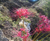 f0237680_8403891.jpg
