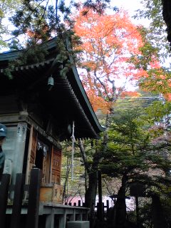 c0096582_2133388.jpg