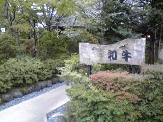 c0096582_2136271.jpg
