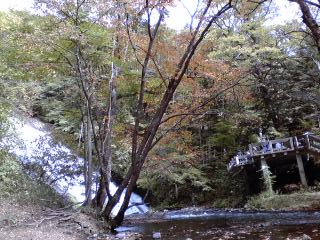 c0096582_21425137.jpg