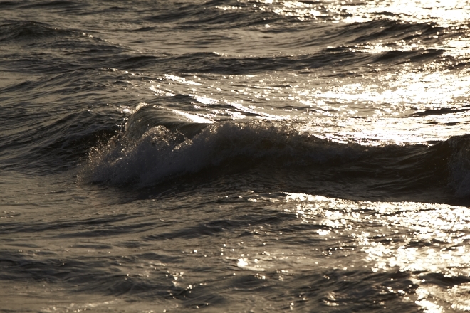 f0163583_20153858.jpg