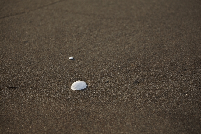 f0163583_2015935.jpg