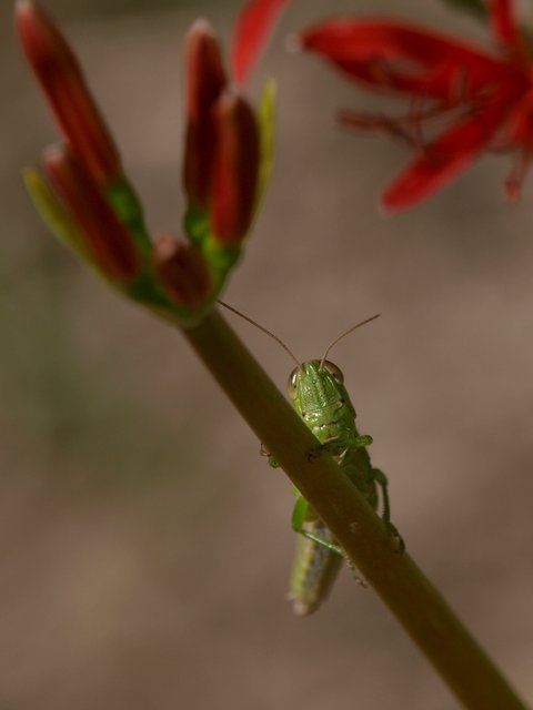 b0108186_2217010.jpg