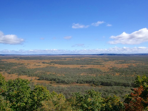 b0206586_1546535.jpg