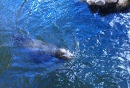 c0204188_13205683.jpg