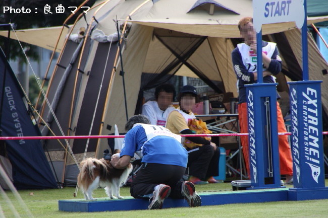 c0044199_17322540.jpg