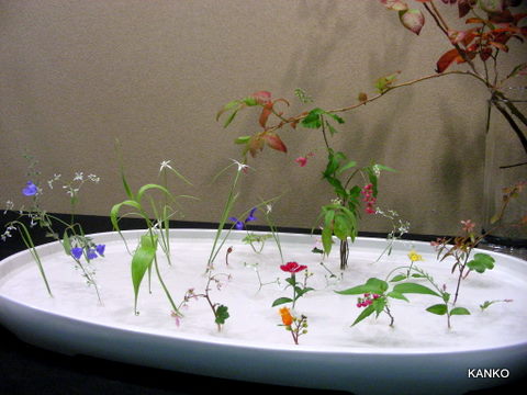 c0145299_19361641.jpg