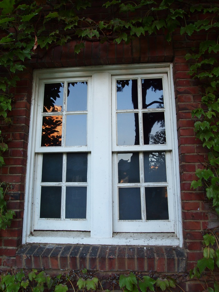 f0224100_5535768.jpg