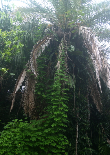 e0089001_2065525.jpg