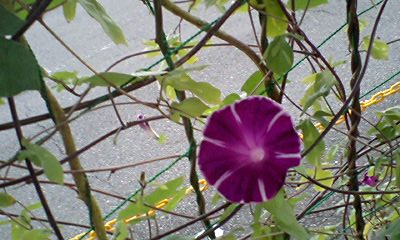 d0054704_23415298.jpg