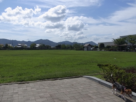 c0205806_2275953.jpg