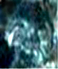e0103408_14443735.gif