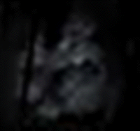 e0103408_14561772.gif