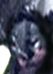 e0103408_1456538.gif