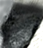 e0103408_14571231.gif