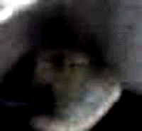 e0103408_17124029.gif