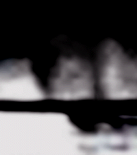 e0103408_17274563.gif