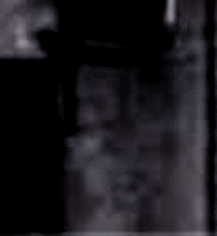 e0103408_17295377.gif