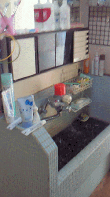 e0103408_17321173.gif