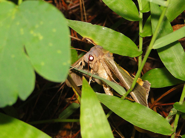 b0033112_20114036.jpg