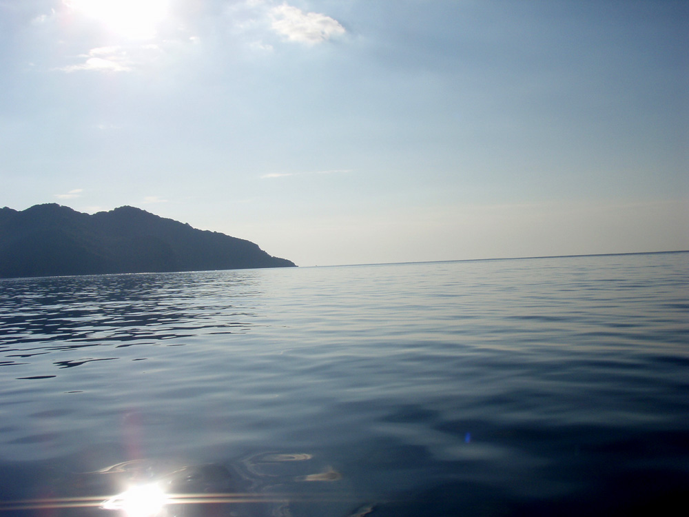 d0171823_231521.jpg